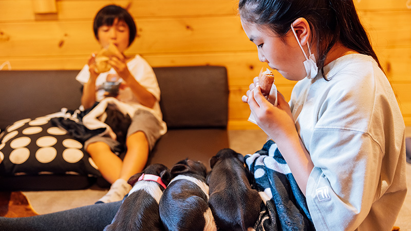 pignic フード提供イメージ