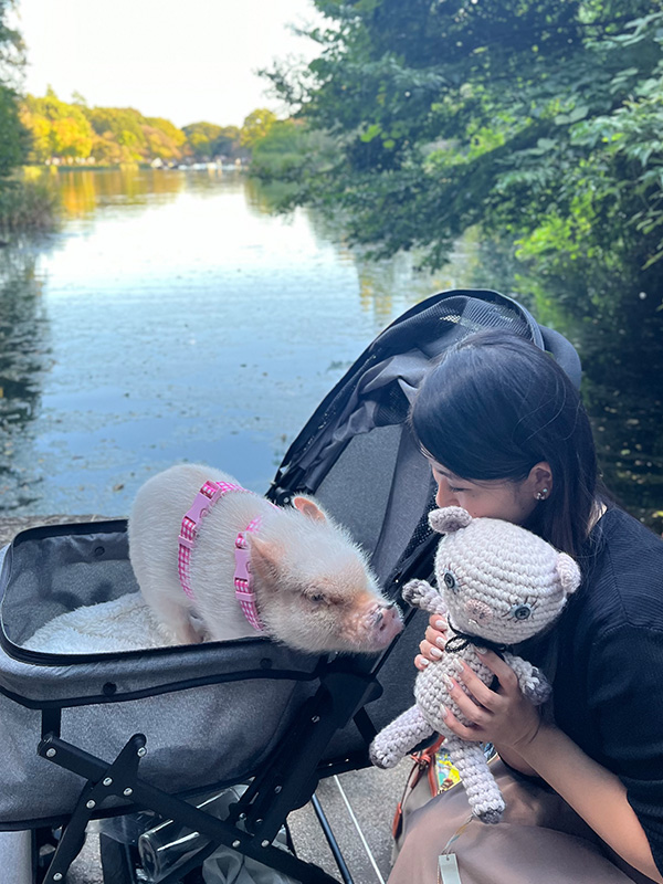 おさんぽぴっぐ osampo pig