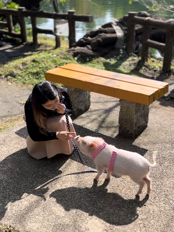 おさんぽぴっぐ osampo pig