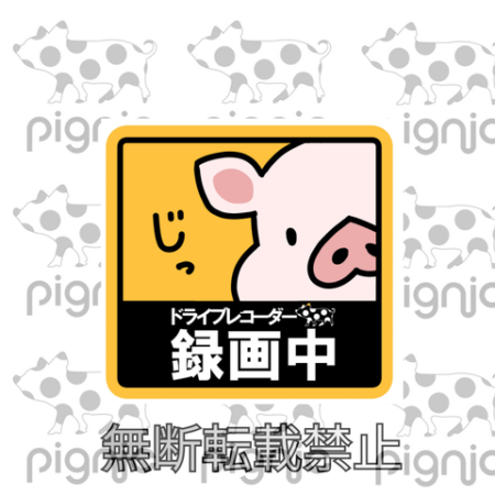 pignicの車用ドラレコステッカー『ドライブレコーダー録画中』画面の端からじっと覗き込む可愛いマイクロブタのイラスト