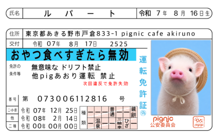ルバート(あきる野店)
ここが注目!: つぶらな瞳でカメラを見つめるルバート。居眠り運転しちゃう癖があるのかな?