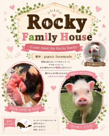 pignic ロッキーイベント