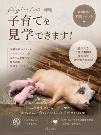 pignic cafe子育て見学