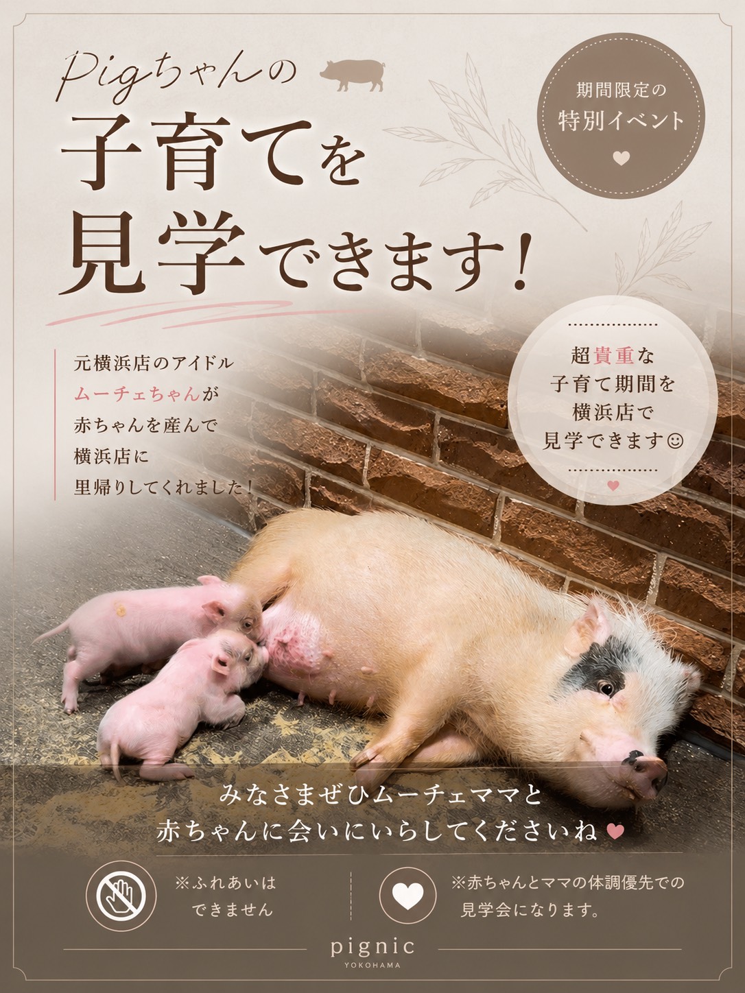 pignic cafe子育て見学