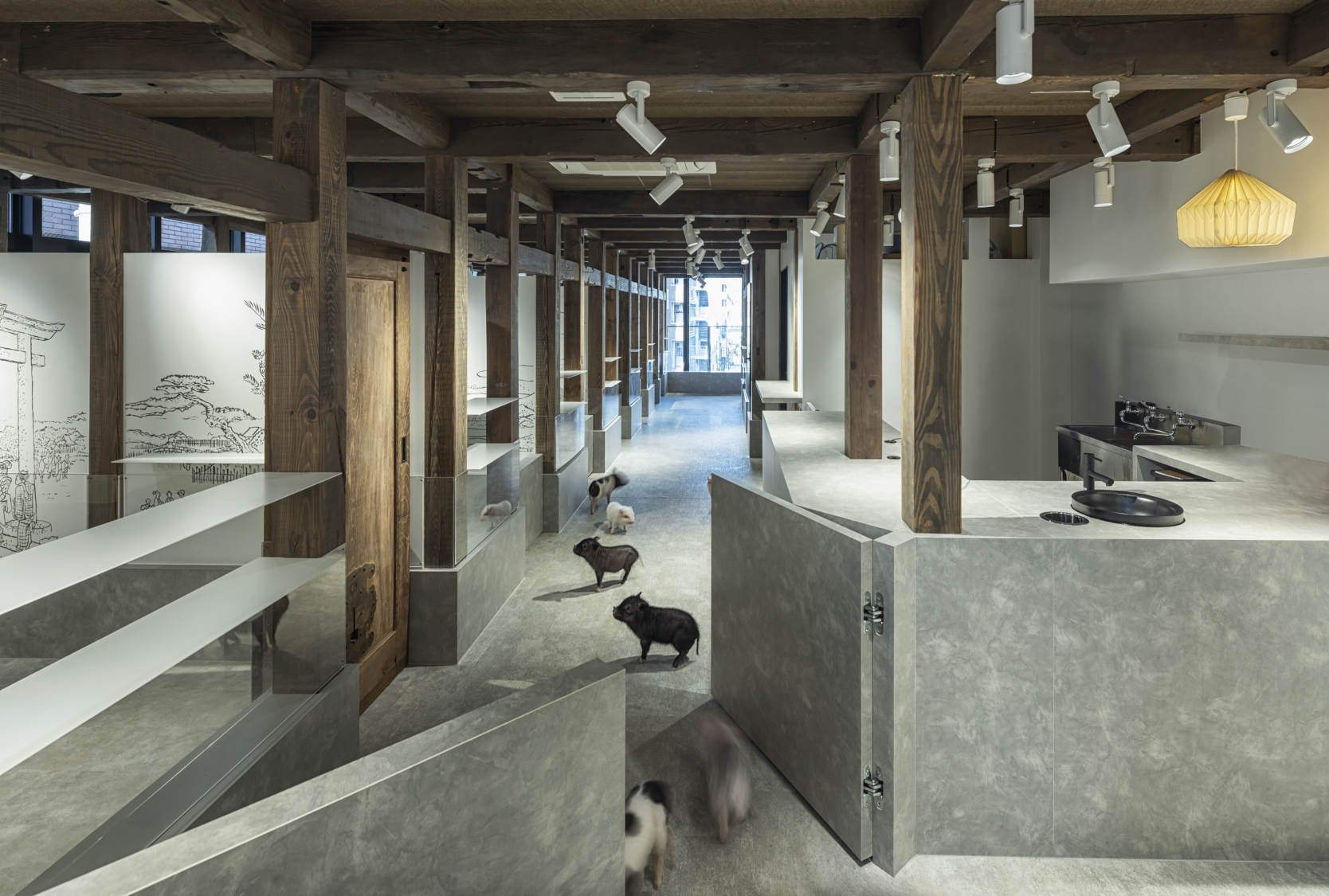 pignic cafe 浅草店が「BLT Built Design Awards 2025」インテリアデザイン部門受賞