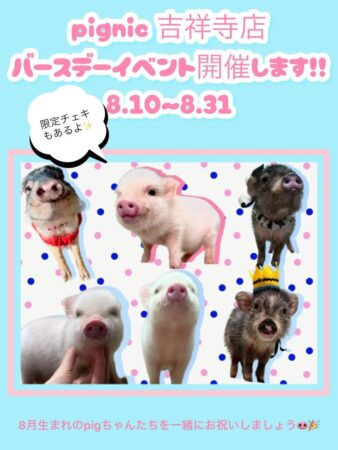 吉祥寺店　8月バースデーイベント