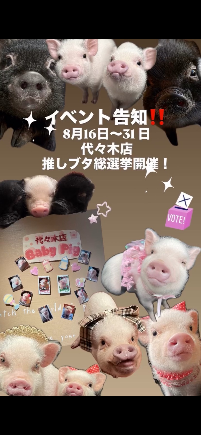pignic cafe推しブタ総選挙