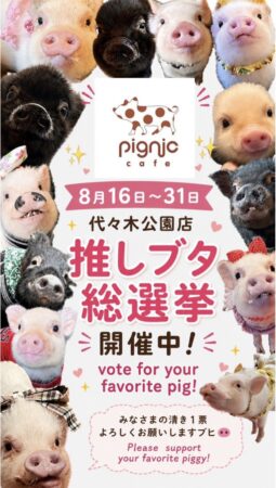 pignic cafe 推しブタ総選挙