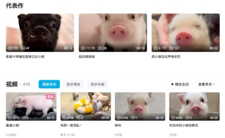 pignic bilibili