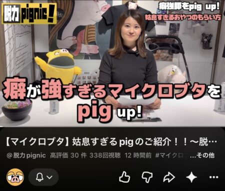 癖が強いマイクロブタ