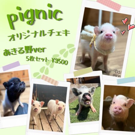 pignic cafe あきる野店オリジナルチェキセット