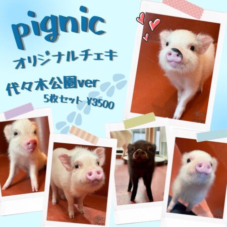pignic cafe代々木公園店オリジナルチェキ