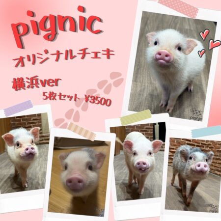 pignic cafe横浜店オリジナルチェキセット