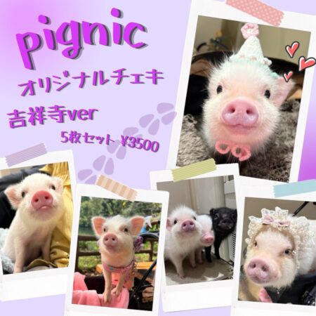 pignic cafe吉祥寺店オリジナルチェキセット