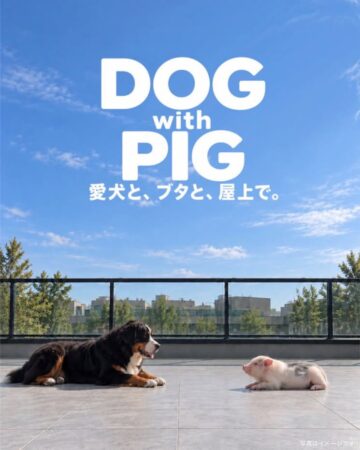 「DOG with PIG」開催のお知らせ